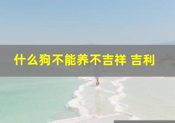 什么狗不能养不吉祥 吉利